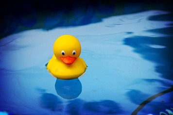 Photo from imagesafari.com