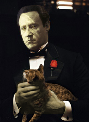 datagodfather