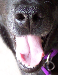 Her ready for her close-up, Mr. DeMille