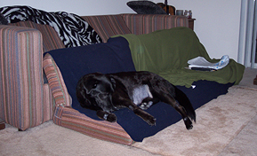 Furniture readjustment