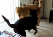 Spin and Grin